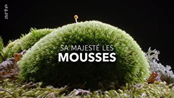 Sa Majesté les mousses